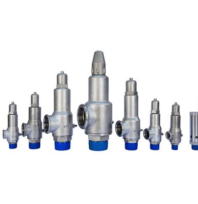 DN50 Safety Valve for Liquid Nitrogen Competitive Price for Pressure Regulation
